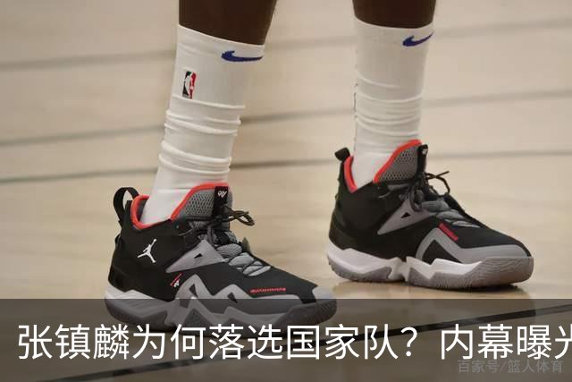 张镇麟为何落选国家队？内幕曝光，叫人心疼，郭士强并没放弃他